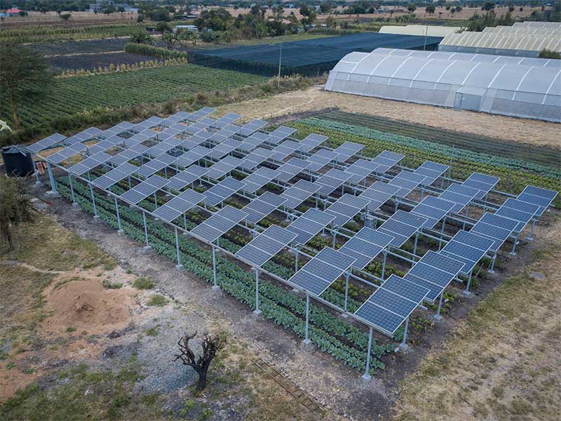 農業用太陽光発電所の設置